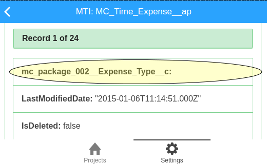Screenshot of our new Expense Type field in the MTI